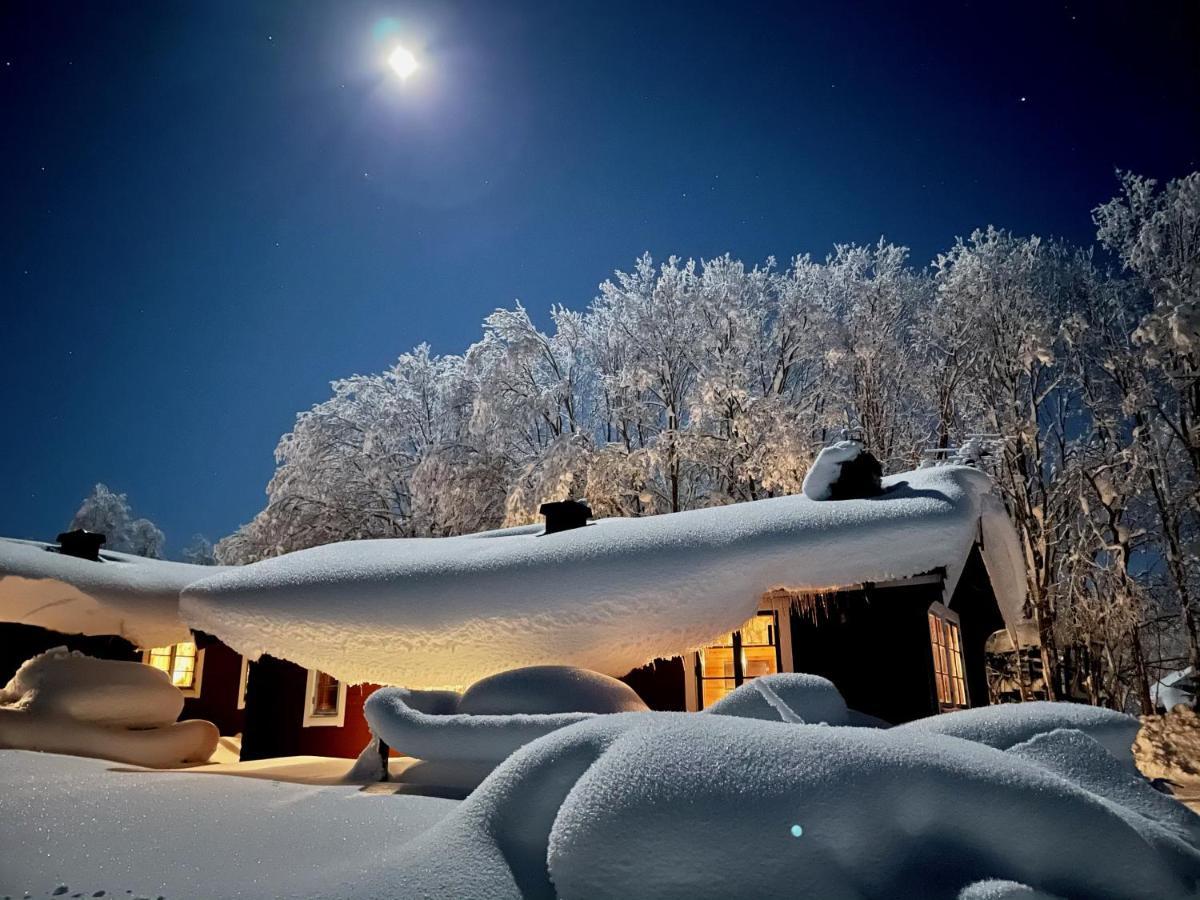 Hamra Stugby - Nature Adventures Hamra Екстер'єр фото