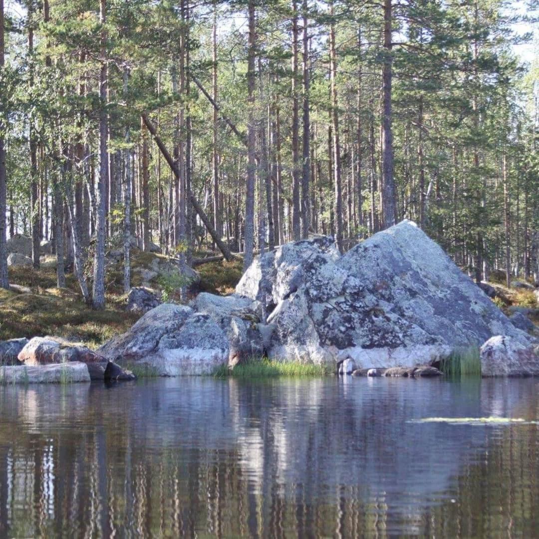 Hamra Stugby - Nature Adventures Hamra Екстер'єр фото