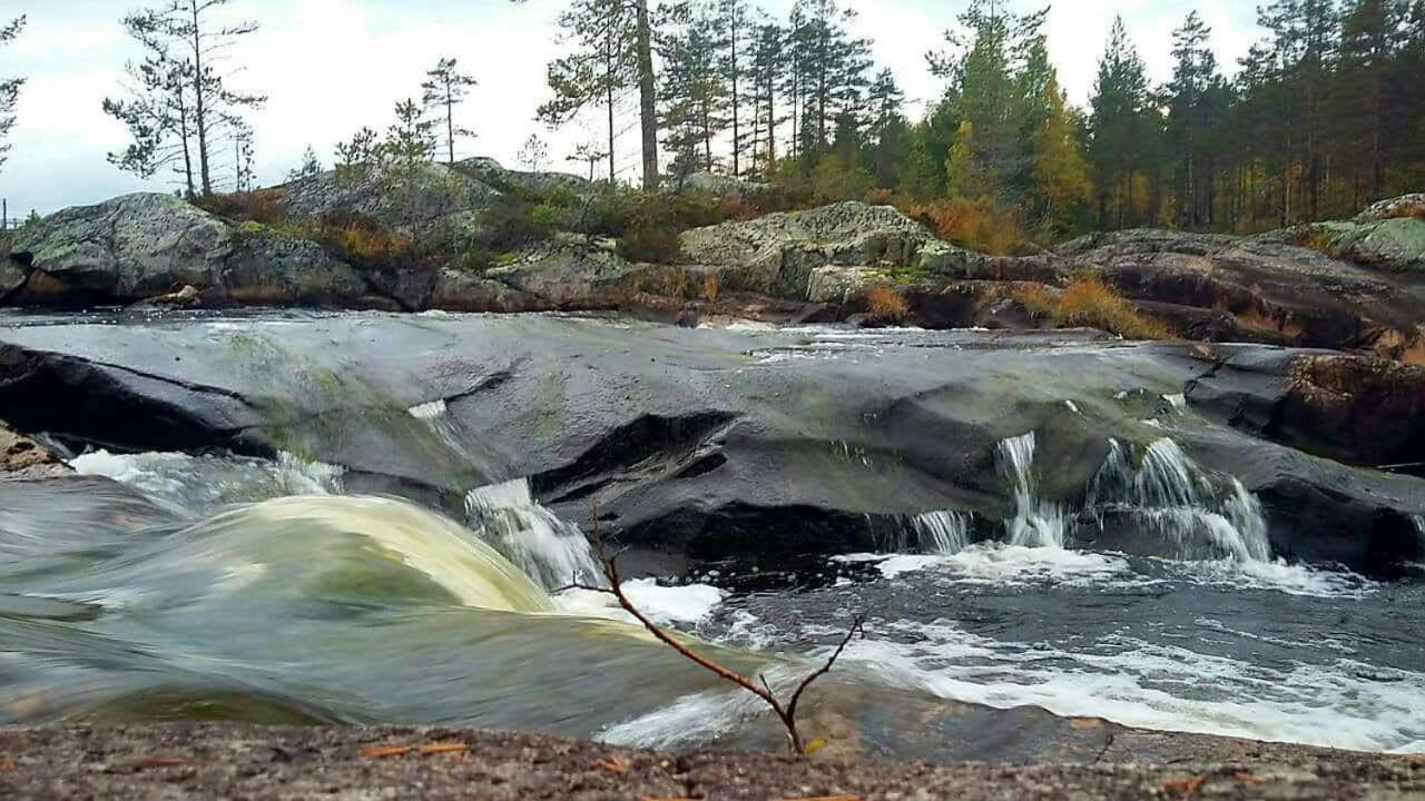 Вілла Hamra Stugby - Nature Adventures Hamra Екстер'єр фото